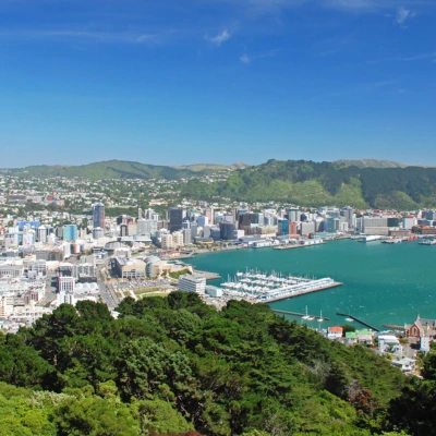 A panoramic view of Wellington, New Zealand, showing its city skyline, harbor with boats, and surrounding green hills under a clear blue sky.